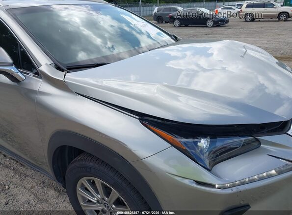 JTJBJRBZ8K2107324 2019 LEXUS NX 300H Pewter 