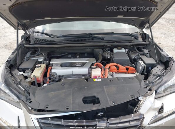JTJBJRBZ8K2107324 2019 LEXUS NX 300H Pewter უკანა ხედი
