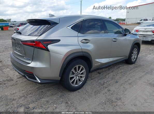 JTJBJRBZ8K2107324 2019 LEXUS NX 300H Pewter უკანა მარჯვენა