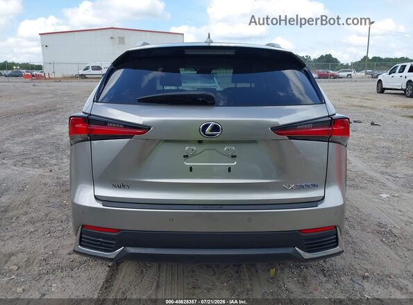 JTJBJRBZ8K2107324 2019 LEXUS NX 300H Pewter 