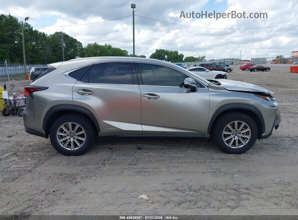 JTJBJRBZ8K2107324 2019 LEXUS NX 300H Pewter უკანა სალონის ხედი