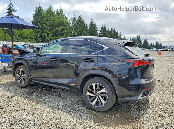 JTJBJRBZ8K2116623 2019 LEXUS NX Black Tył lewy