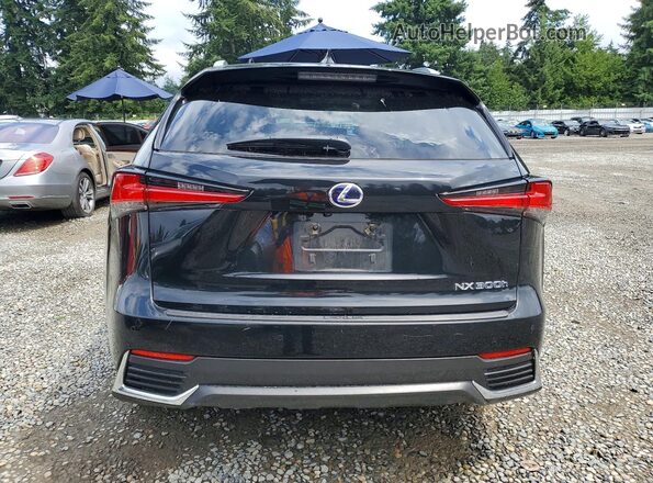 JTJBJRBZ8K2116623 2019 LEXUS NX Black Widok z tyłu