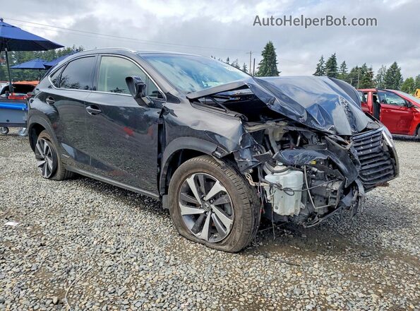 JTJBJRBZ8K2116623 2019 LEXUS NX Black Przód prawy