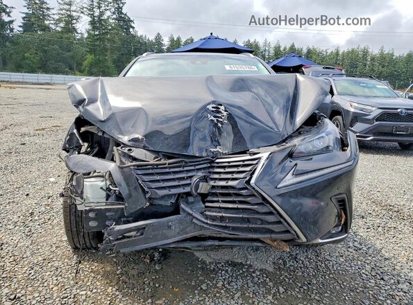 JTJBJRBZ8K2116623 2019 LEXUS NX Black Widok z przodu