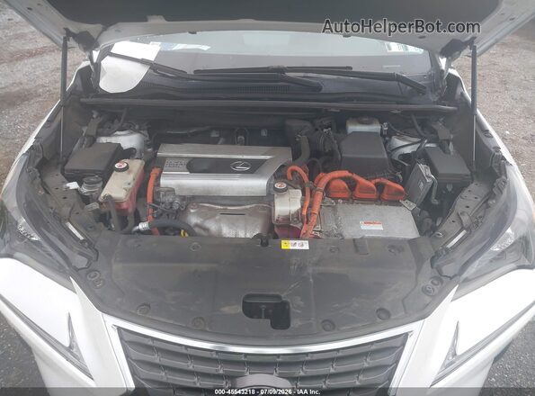 JTJBJRBZ9J2080133 2018 LEXUS NX 300H White უკანა ხედი