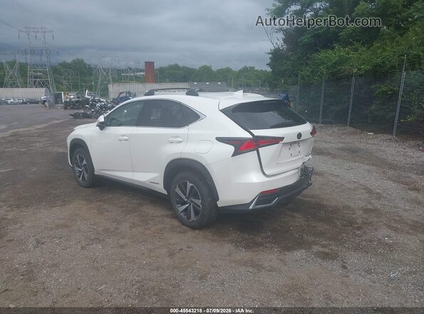 JTJBJRBZ9J2080133 2018 LEXUS NX 300H White უკანა მარცხენა