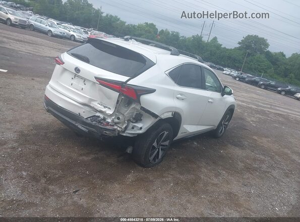 JTJBJRBZ9J2080133 2018 LEXUS NX 300H White უკანა მარჯვენა