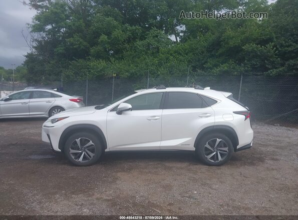 JTJBJRBZ9J2080133 2018 LEXUS NX 300H White სალონის 360-გრადუსიანი ხედი