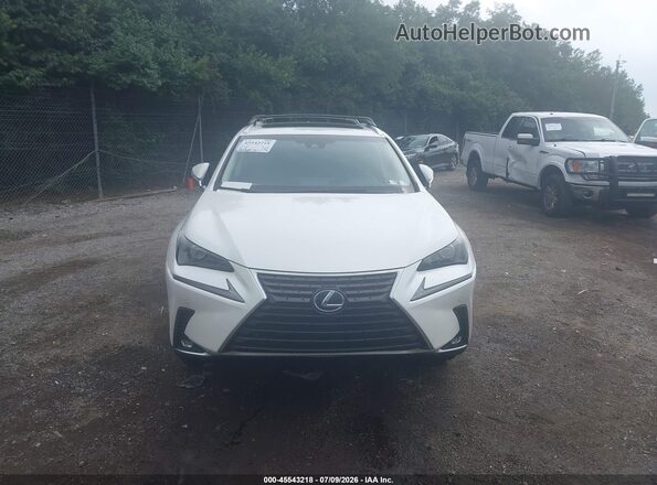 JTJBJRBZ9J2080133 2018 LEXUS NX 300H White ხელსაწყოთა პანელის ხედი