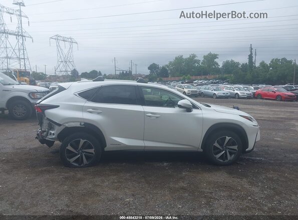 JTJBJRBZ9J2080133 2018 LEXUS NX 300H White უკანა სალონის ხედი