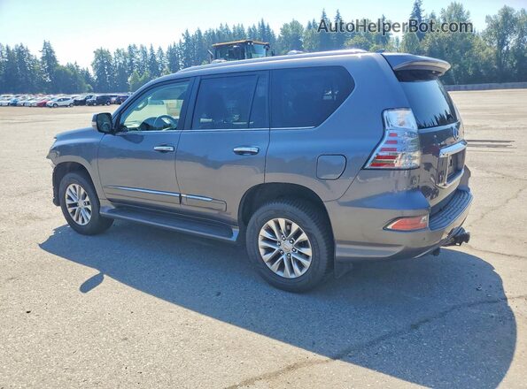 JTJBM7FX2H5156157 2017 LEXUS GX Gray Trasero izquierdo