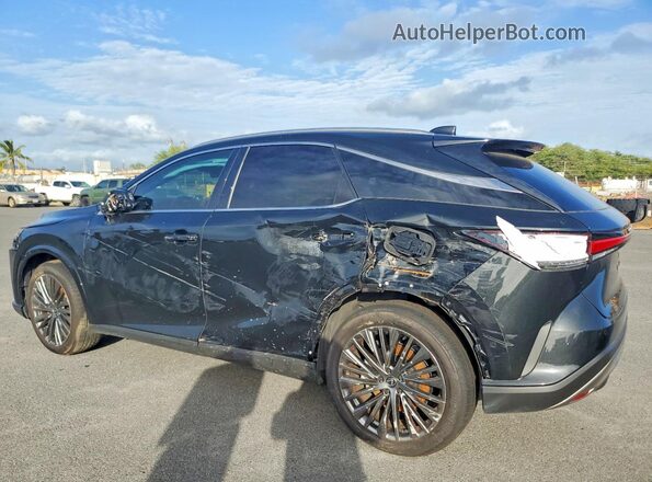 JTJCJMGA2S2026488 2025 LEXUS RX Black Trasero izquierdo