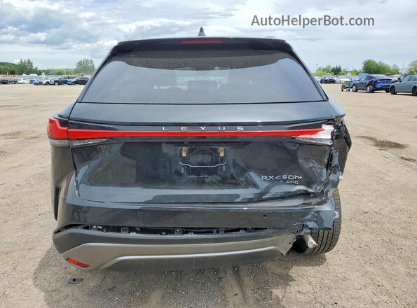 JTJCJMGA7S2029399 2025 LEXUS RX Black Vista trasera