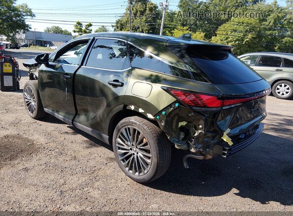 JTJCJMGAXR2022067 2024 LEXUS RX 450H+ Green უკანა მარცხენა