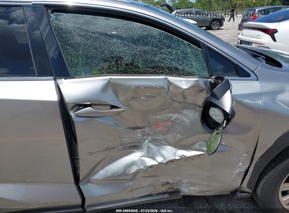 JTJDARBZ0M2185494 2021 LEXUS NX 300 Gray Սալոնի դիմացի տեսք