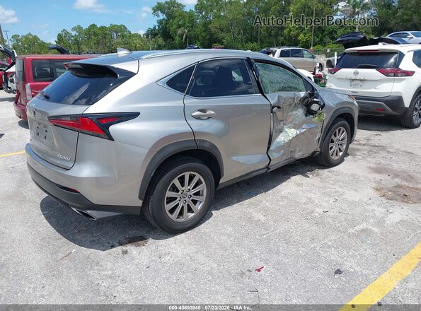 JTJDARBZ0M2185494 2021 LEXUS NX 300 Gray Հետևի աջ