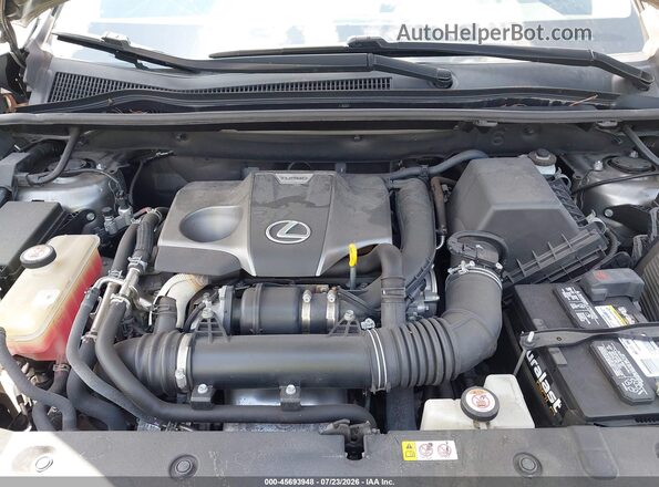 JTJDARBZ0M2185494 2021 LEXUS NX 300 Gray Հետևի տեսք