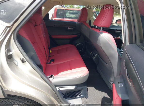 JTJDARBZ0M2185494 2021 LEXUS NX 300 Gray VIN կոդի պիտակի տեսք