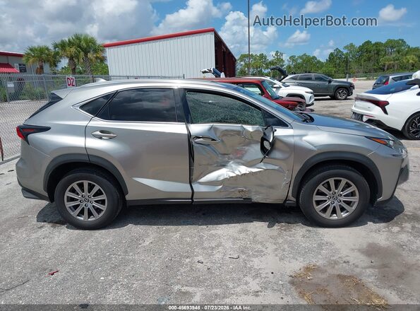 JTJDARBZ0M2185494 2021 LEXUS NX 300 Gray Սալոնի հետևի տեսք