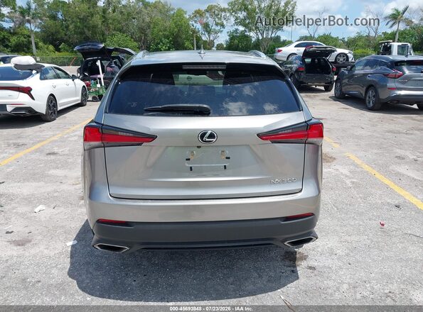 JTJDARBZ0M2185494 2021 LEXUS NX 300 Gray 