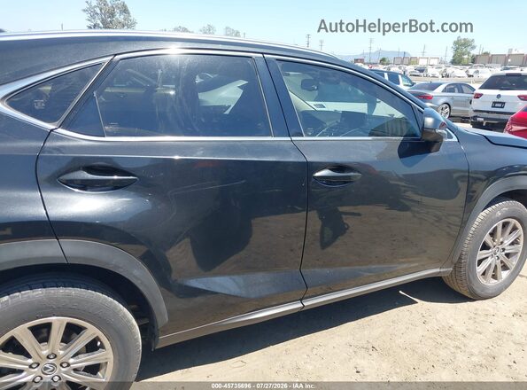 JTJDARBZ0M2199010 2021 LEXUS NX 300 Черный Вид задней части салона