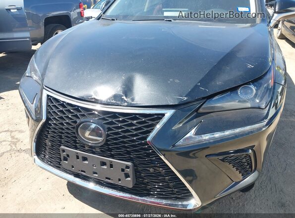 JTJDARBZ0M2199010 2021 LEXUS NX 300 Черный Вид спереди