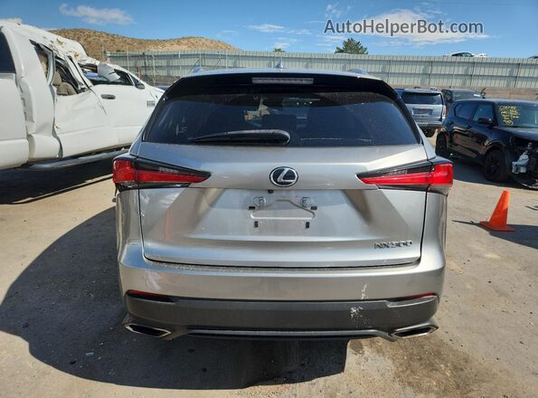 JTJDARBZ0M2201175 2021 LEXUS NX Серый Вид сзади