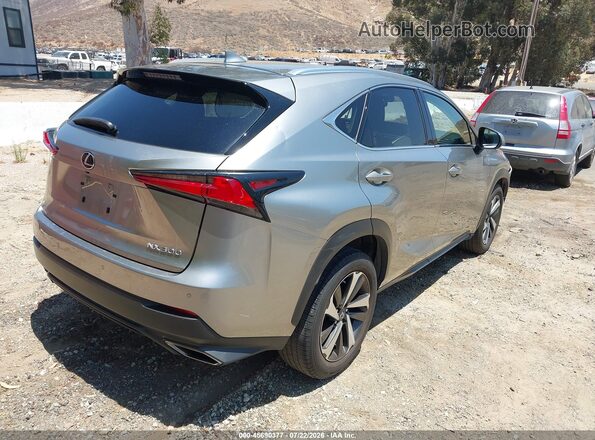 JTJDARBZ1L2163924 2020 LEXUS NX 300 Gray Задня права чверть