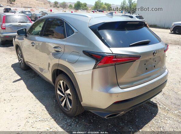 JTJDARBZ1L2163924 2020 LEXUS NX 300 Gray Задня ліва чверть