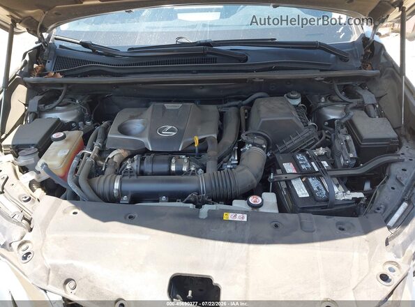 JTJDARBZ1L2163924 2020 LEXUS NX 300 Gray Вид ззаду