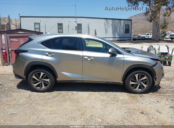 JTJDARBZ1L2163924 2020 LEXUS NX 300 Gray Вид задньої частини салону