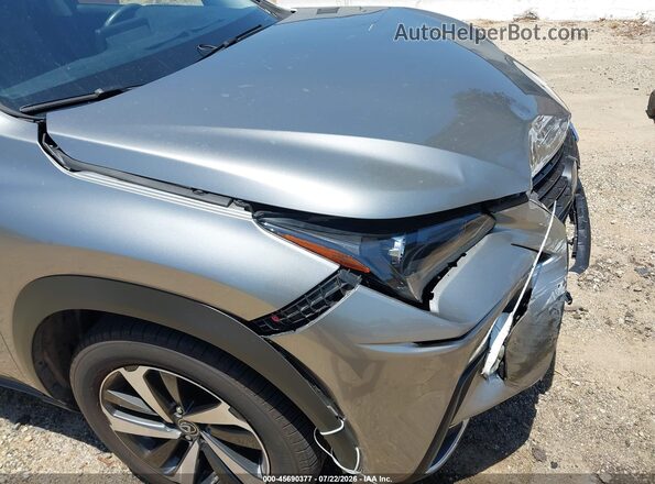 JTJDARBZ1L2163924 2020 LEXUS NX 300 Gray 