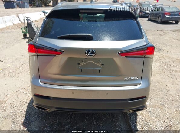 JTJDARBZ1L2163924 2020 LEXUS NX 300 Gray 