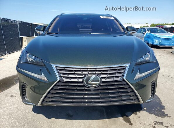 JTJDARBZ1M2186766 2021 LEXUS NX Green Դիմացի տեսք