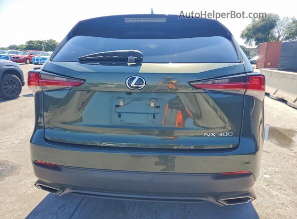 JTJDARBZ1M2186766 2021 LEXUS NX Green Հետևի տեսք