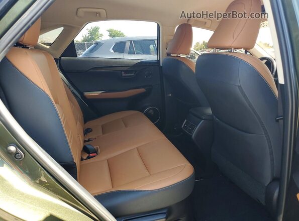 JTJDARBZ1M2186766 2021 LEXUS NX Green Սալոնի հետևի տեսք