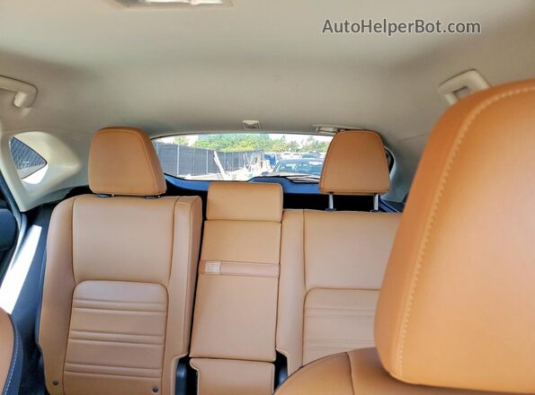 JTJDARBZ1M2186766 2021 LEXUS NX Green Հետևի նստատեղերի տեսք