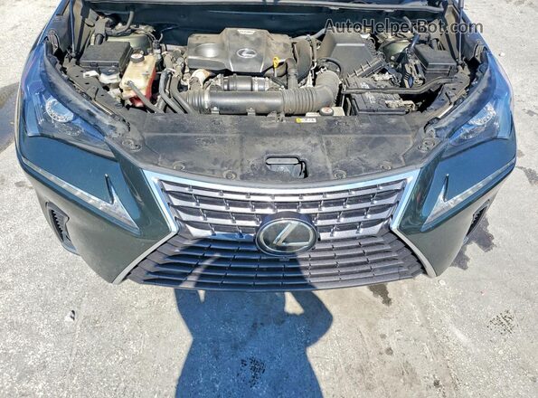 JTJDARBZ1M2186766 2021 LEXUS NX Green Շարժիչի բաժամունքի տեսք