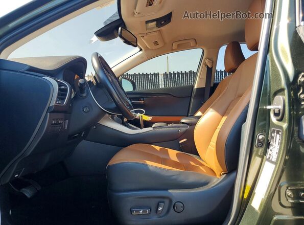 JTJDARBZ1M2186766 2021 LEXUS NX Green Սալոնի դիմացի տեսք