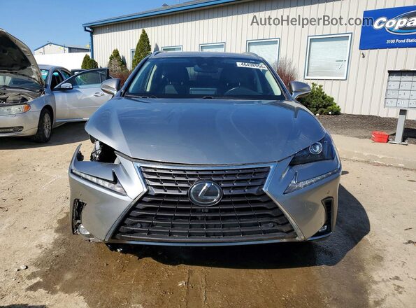 JTJDARBZ3L5016289 2020 LEXUS NX Silver Вид спереду
