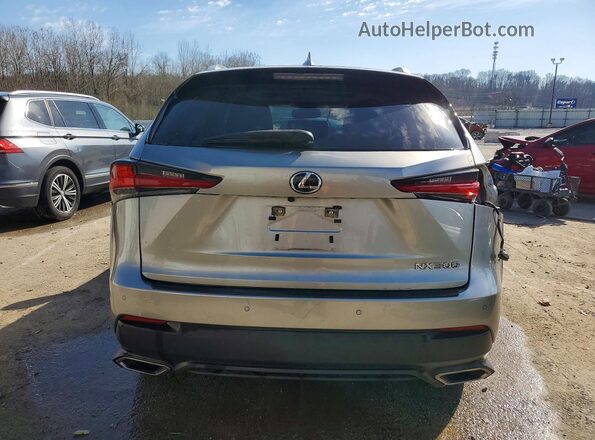JTJDARBZ3L5016289 2020 LEXUS NX Silver Вид ззаду