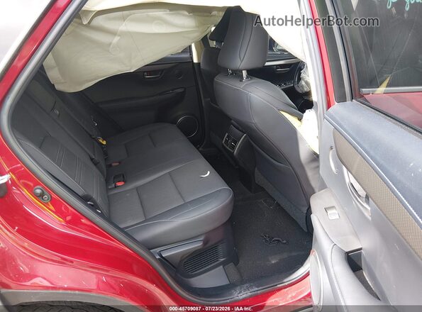 JTJDARBZ5L2175719 2020 LEXUS NX 300 Red VIN კოდის სტიკერის ხედი