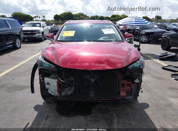 JTJDARBZ5L2175719 2020 LEXUS NX 300 Red ხელსაწყოთა პანელის ხედი