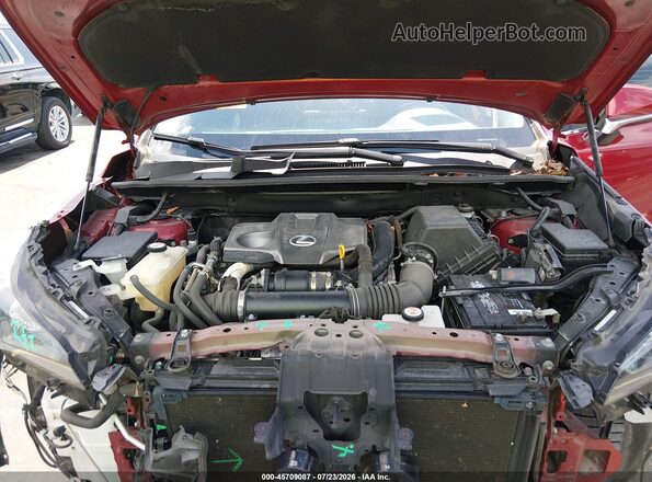 JTJDARBZ5L2175719 2020 LEXUS NX 300 Red უკანა ხედი