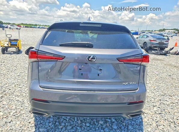 JTJDARBZ5M2197253 2021 LEXUS NX Угольный Вид сзади