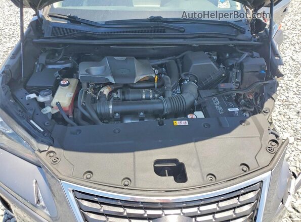 JTJDARBZ5M2197253 2021 LEXUS NX Угольный Вид задней части салона