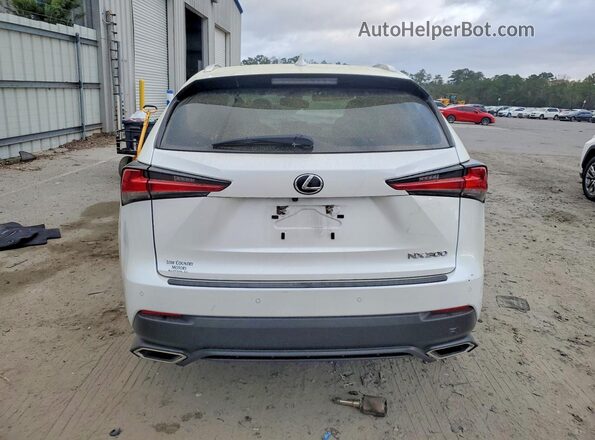 JTJDARBZ5M5029773 2021 LEXUS NX White Widok z tyłu