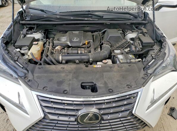 JTJDARBZ5M5029773 2021 LEXUS NX White Widok komory silnika