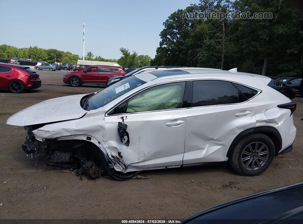 JTJDARBZ9L5011467 2020 LEXUS NX 300 White Սալոնի հետևի տեսք